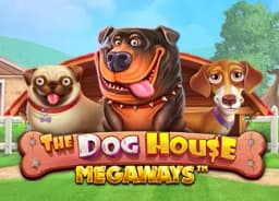 gdzy123: The Dog House Megaways